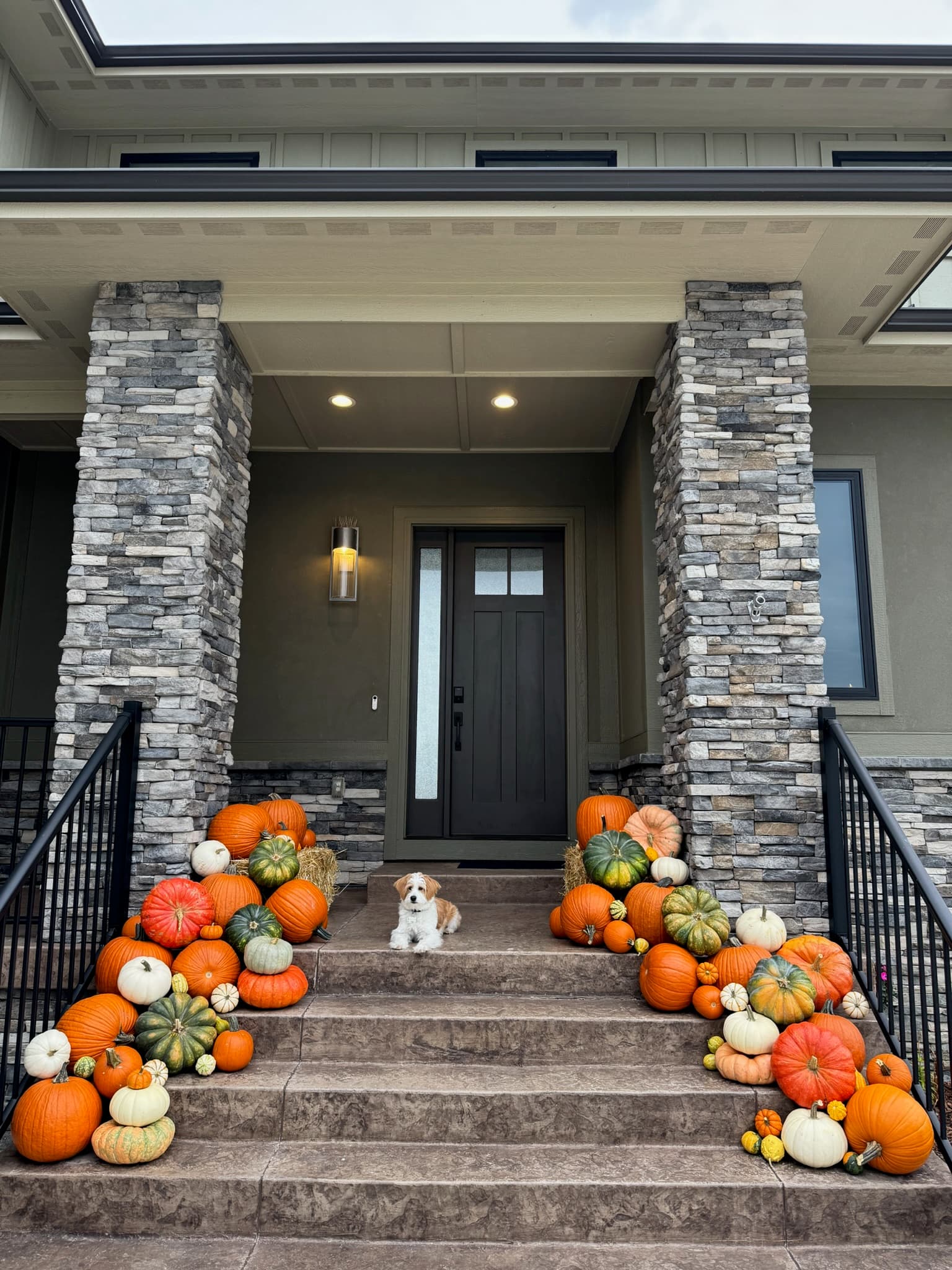 Stacked-stone pillars with pumpkin cascades down the steps and a small white-and-tan puppy on the stair