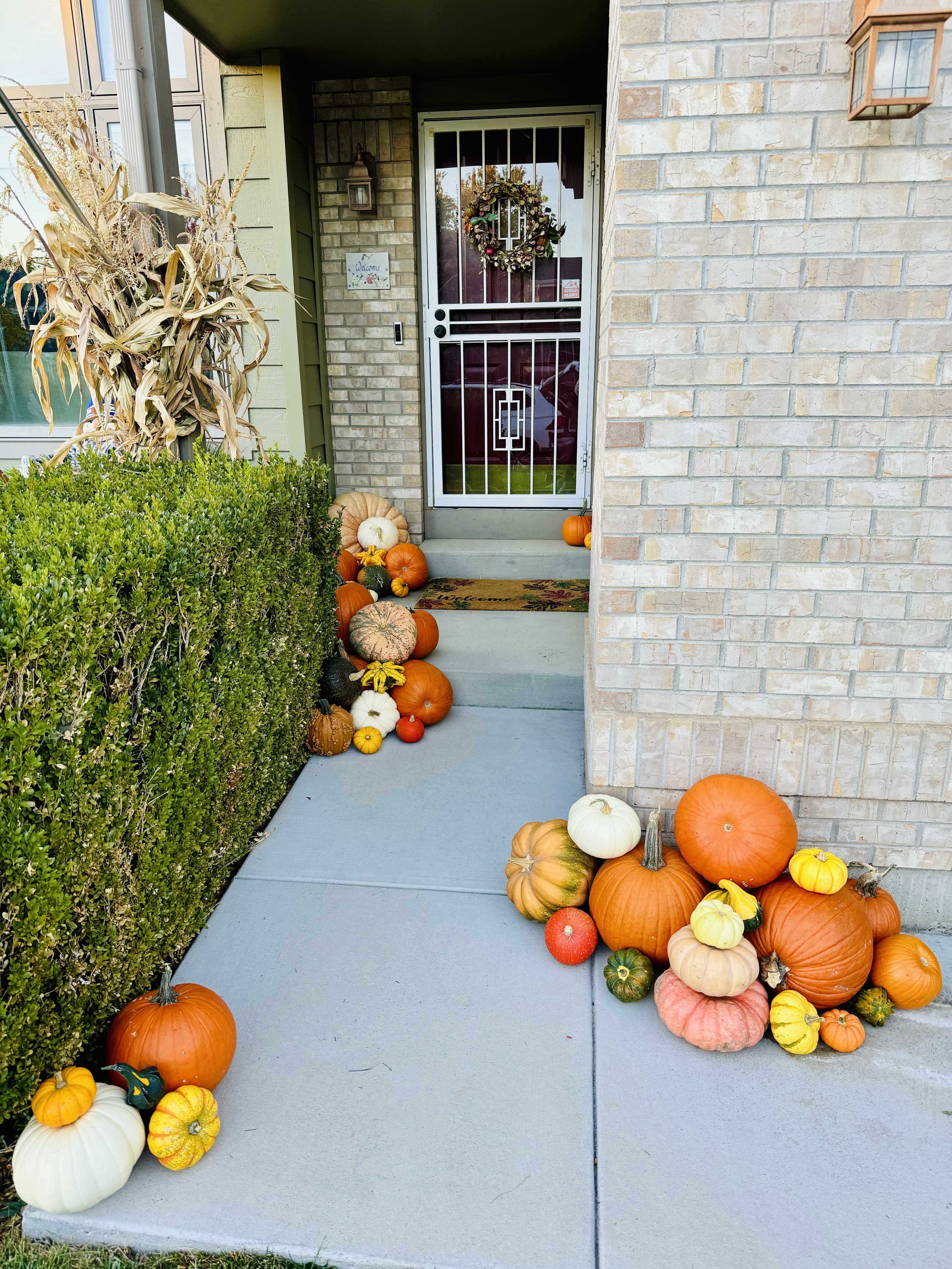 Brick suburban entryway with pumpkin clusters along the walkway, cornstalks, and an American flag